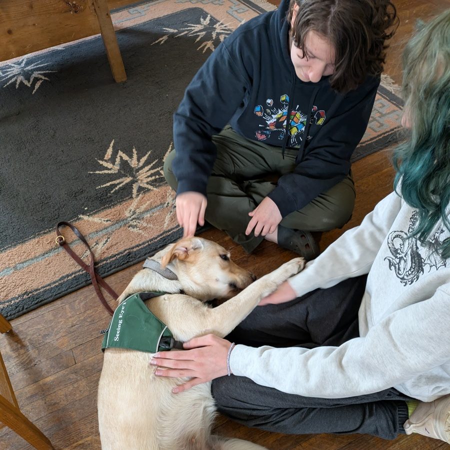 Two teens sitting on the floor petting a Seeing Eye yellow labrador puppy at RLC Connect teen social enrichment program